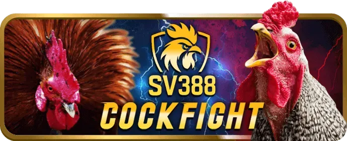 Giao diện quản lý tài khoản người dùng v9bet19 an toàn và dễ sử dụng